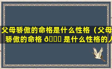 父母骄傲的命格是什么性格（父母骄傲的命格 🐎 是什么性格的人）